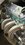 IMG_3315.jpeg