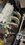 IMG_3316.jpeg