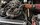 IMG_7454.jpeg