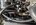 IMG_7455.jpeg