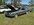 IMG_5928.jpeg