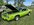 IMG_5932.jpeg