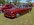 IMG_5943.jpeg