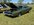 IMG_5963.jpeg