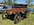 IMG_5968.jpeg