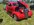 IMG_5980.jpeg