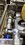 IMG_3330.jpeg