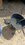 IMG_20260526_115901771_MP.jpg