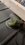 IMG_20260526_203222939_MP.jpg