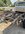 IMG_5454.jpeg