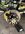 IMG_5639.jpeg