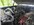 IMG_20260525_144326_801.jpg