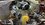 IMG_3345.jpeg