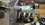 IMG_3347.jpeg