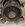 IMG_7479.jpeg