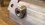 IMG_3376.jpeg