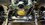 IMG_3395.jpeg