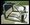 IMG_0448.jpeg