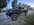 IMG_6051.jpeg