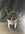 IMG_4231-compressed.jpeg