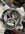 IMG_4245-compressed.jpeg