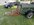 IMG_6100.jpeg