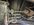IMG_6105.jpeg