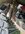 IMG_6101.jpeg