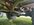 IMG_6102.jpeg