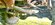 IMG_1854.jpeg