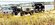 IMG_1856.jpeg