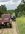 IMG_6146.jpeg