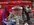 IMG_6185.jpeg