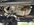 IMG_4118.jpeg