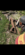 IMG_0047.png
