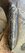 IMG_7512.jpeg