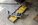 IMG_7513.jpeg