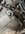 IMG_E2498ED9-14DB-4DB6-BE21-6D4AC7DB52F5.jpeg