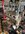 IMG_4552.jpeg