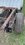 IMG_0054.jpeg