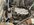 IMG_3232.jpeg