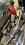 IMG_3477.jpeg