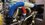 IMG_3497.jpeg