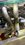 IMG_3498.jpeg