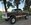 IMG_6846.jpeg