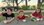 IMG_6883.jpeg