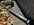 IMG_0161.jpeg