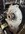 IMG_4286-compressed.jpeg