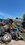 IMG_0114.jpeg