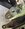 IMG_7561.jpeg